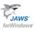 Jaws screenreader icon
