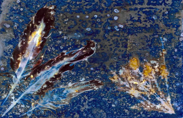 Image for Light as Voice: A Science Meets Art Exhibition of works made in custody