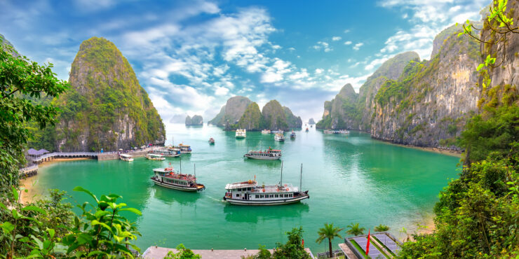 Meet Curtin in Vietnam