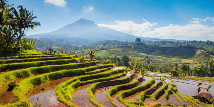 Global summer and winter university program: Green Entrepreneurship (Bali, Indonesia)