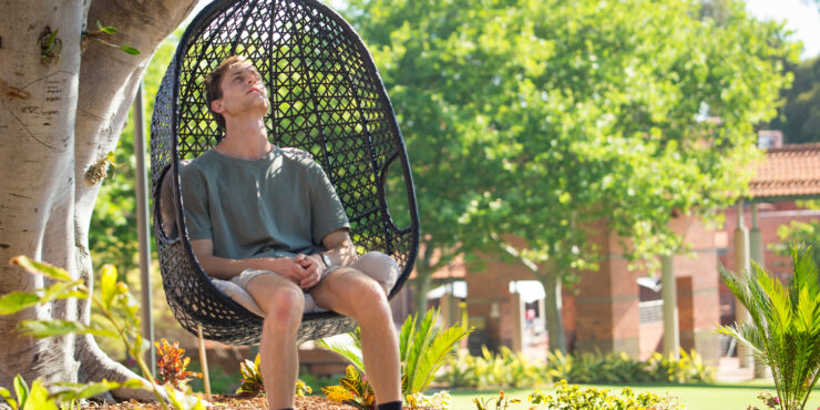 Mental Health Maintenance