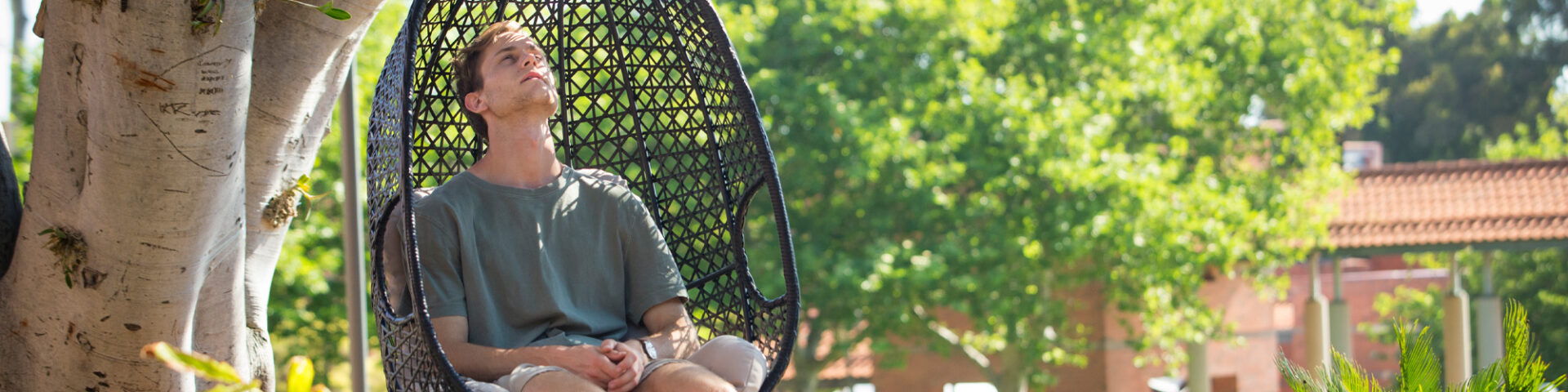 Mental Health Maintenance