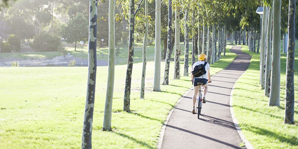 A student riding a pushbike on a path, through trees