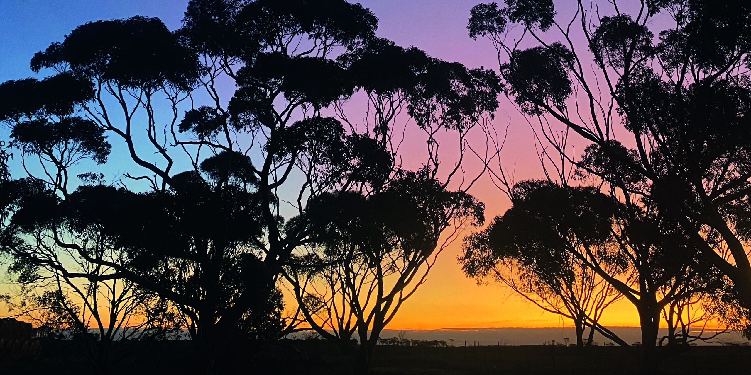 Image: Landscape image of Carrolup at sunset. Photograph by Phoebe Milne.