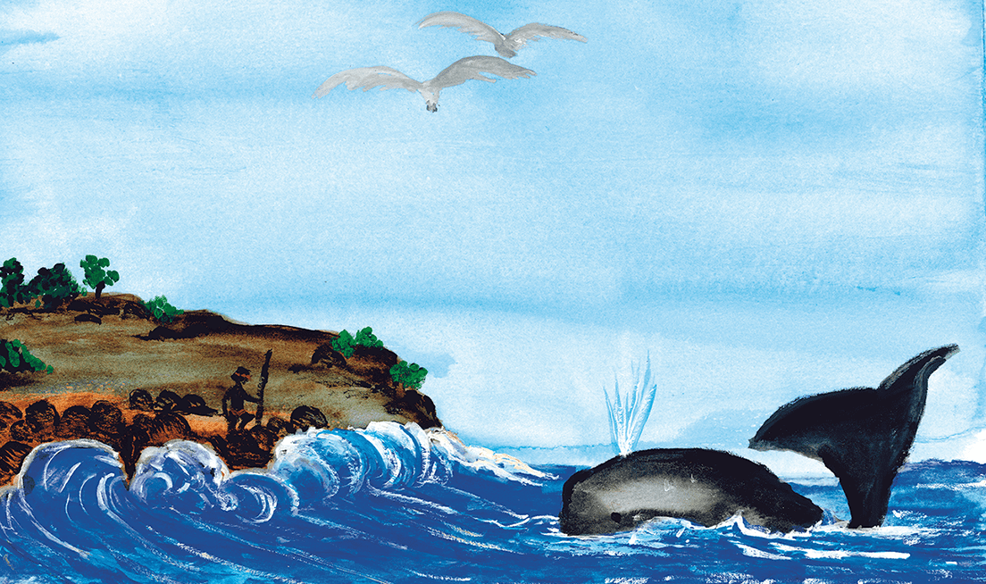 Whale Illustration for Mamang by Jeffrey Farmer for Wirlomin Noongar Language & Stories Inc.