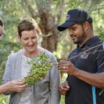 Library staff Barbara Cotter and Catherine Clark, with Nyungar and Yamatji man and artist Justin Martin are standing outside in the bush inspecting local flora from native trees, for inspiration for the TL Robertson Library artworks.