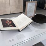 A picture of Elizabeth Jolley's Tudor bonnet, worn as part of her academic regalia, and her entry in the University's register of honorary doctorate.