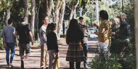 Cultural Capability team