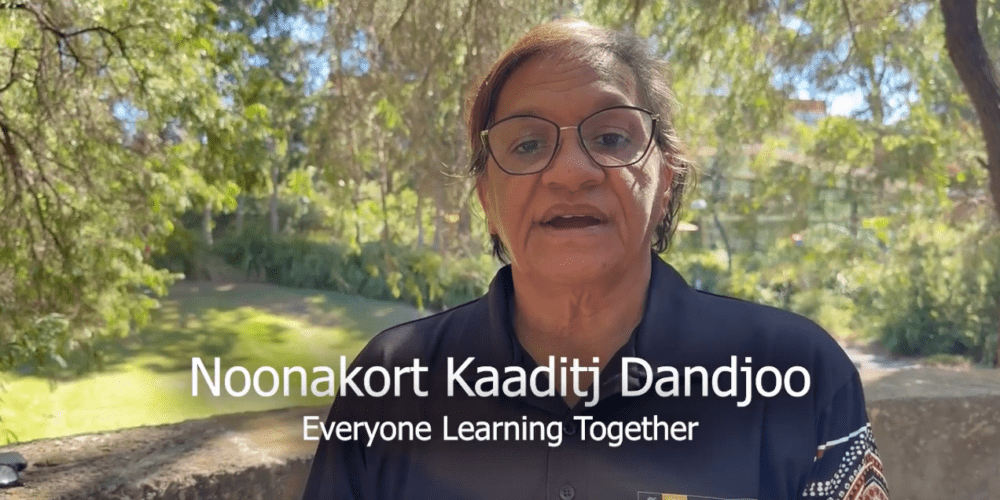 Video cover image - play video