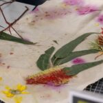 Eco-Dyeing Workshops bring creativity and community together