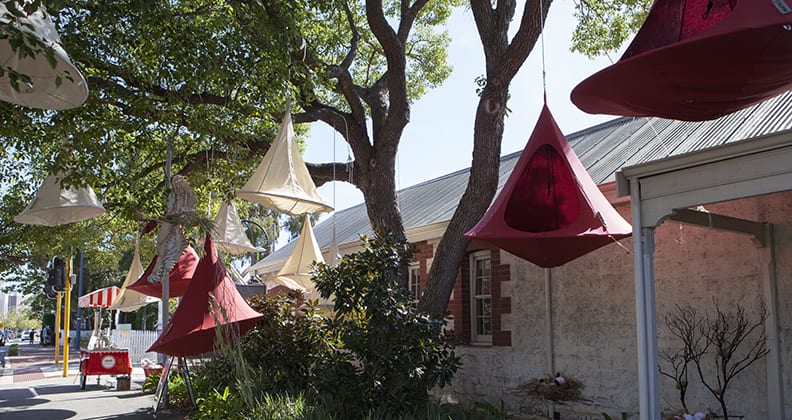 Cacoon nests swing from trees in Claremont.