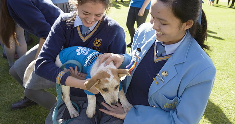 Two girls hold a small puppy