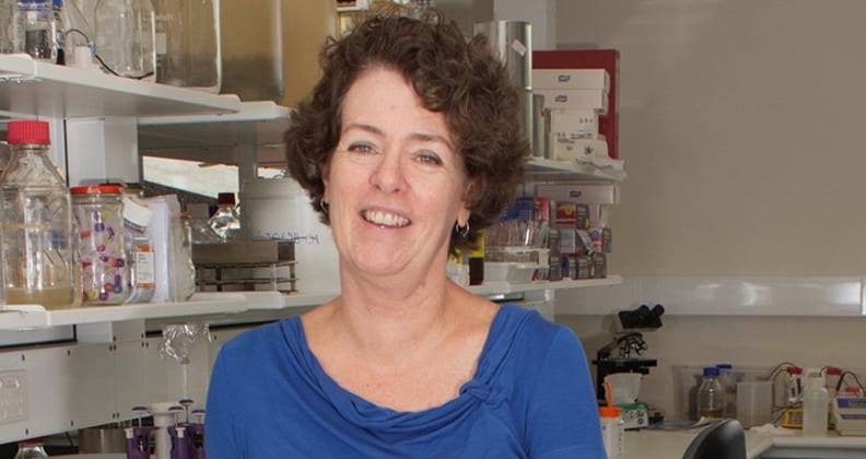 Professor Elizabeth Watkin, School of Biomedical Sciences.