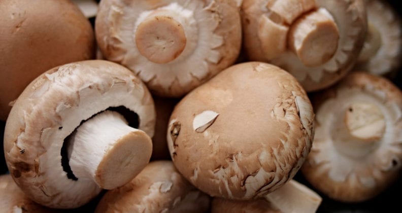 Mushrooms