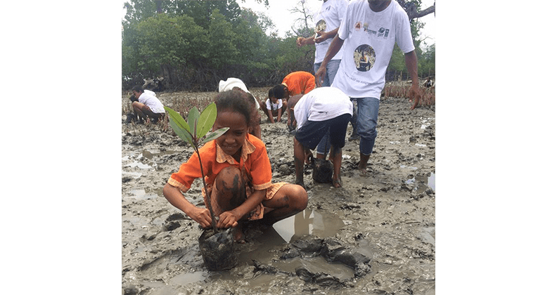 Timorese school kids planting mangroves to protect coastal livlihood from climate change