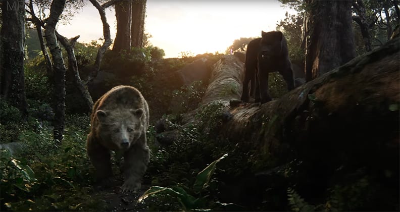 Baloo and Bagheera in a scene from The Jungle Book