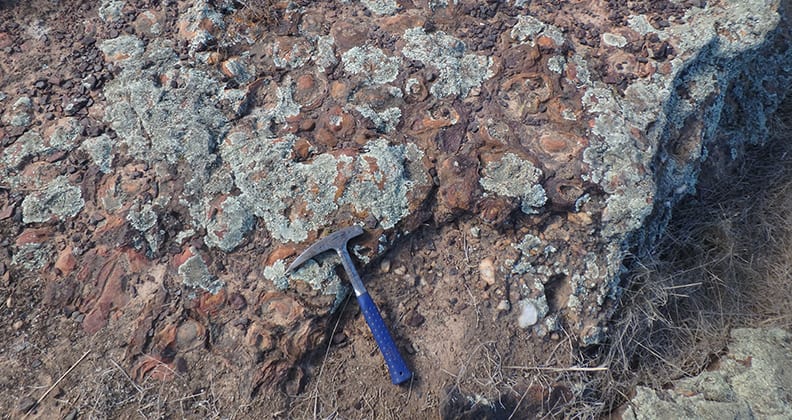 Image of a stromatolite, a red, bubbly type rock.