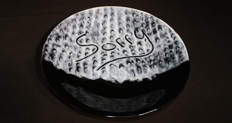 The Sorry Plate, against a black backdrop.