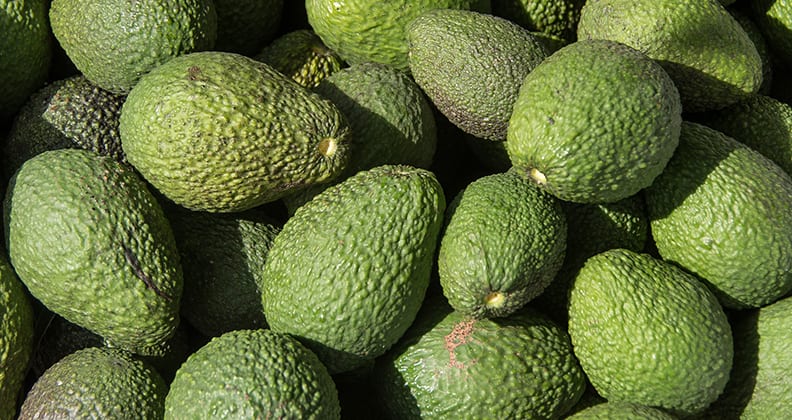 A pile of Hass avocados with rich green skin.