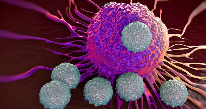 T-cells attacking cancer cell illustration of microscopic photos