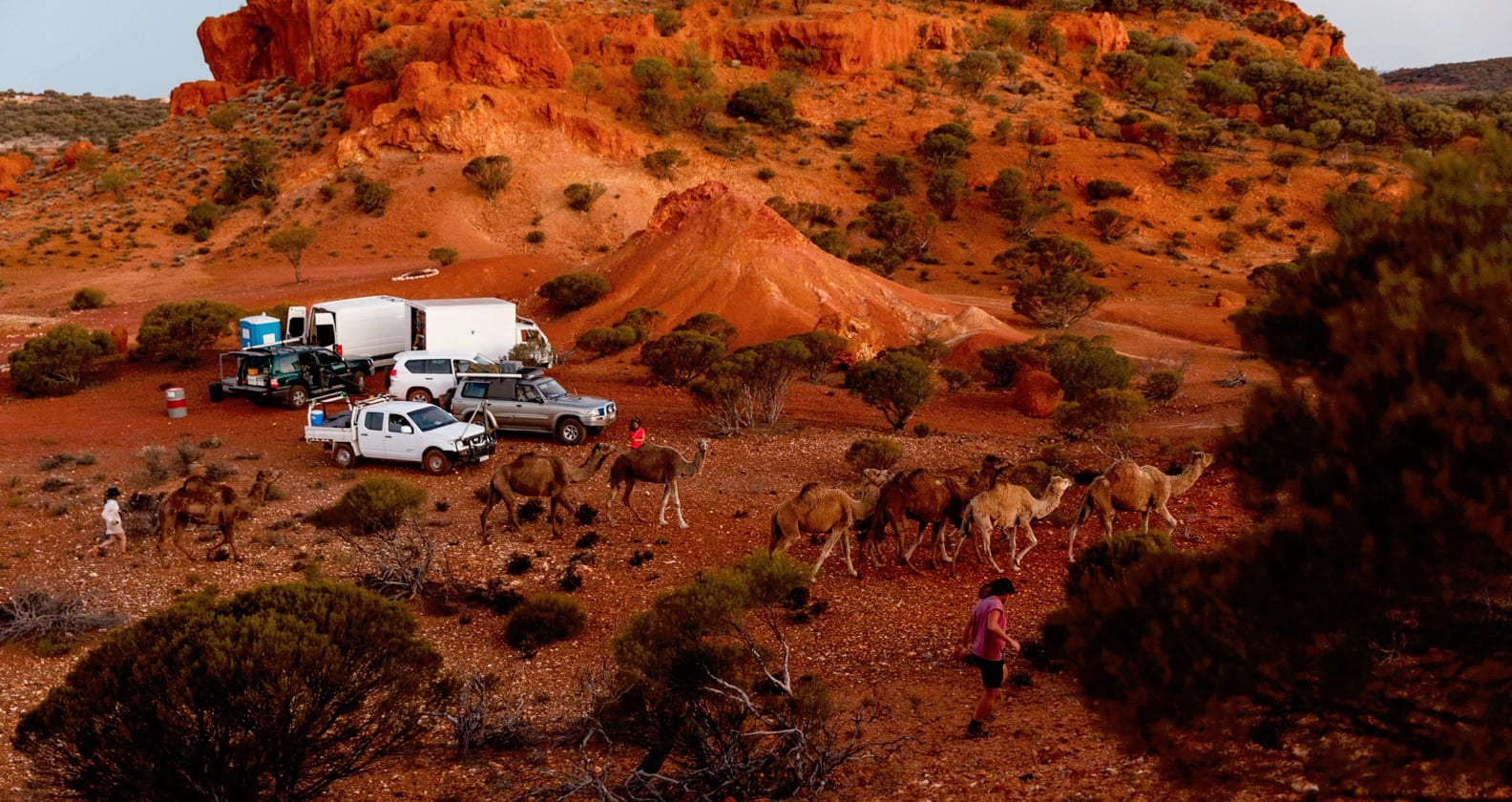 Film crew and camels in the desert