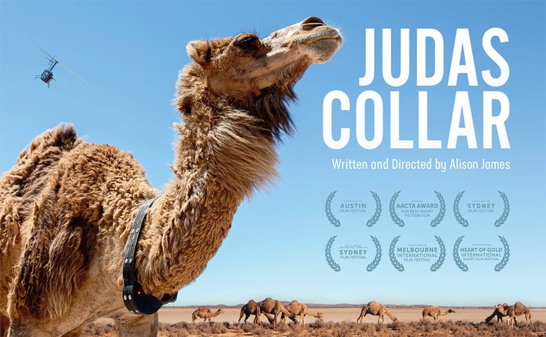 Judas Collar movie poster feat camel