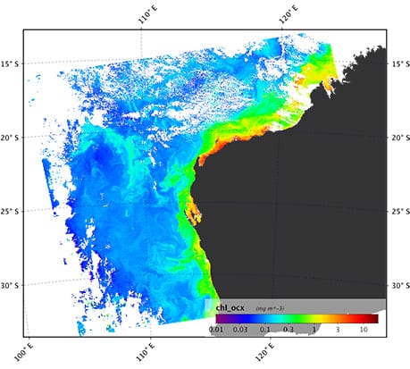 Colourful satellite image of phytoplankton distribution off the coast of Western Australia