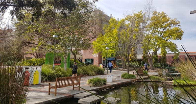 The Curtin library surrounded by green trees and lush plants.