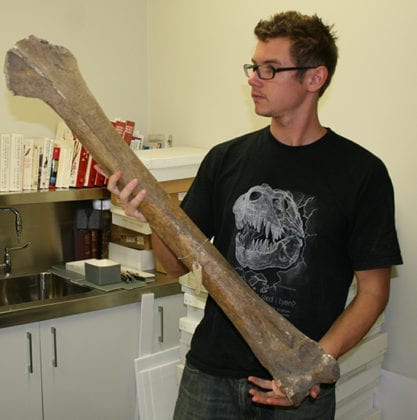 Massive moas: Allentoft examines a moa tibiotarsus in Canterbury Museum, New Zealand.