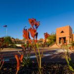 Two Curtin researchers awarded Forrest Research Prospect Fellowships