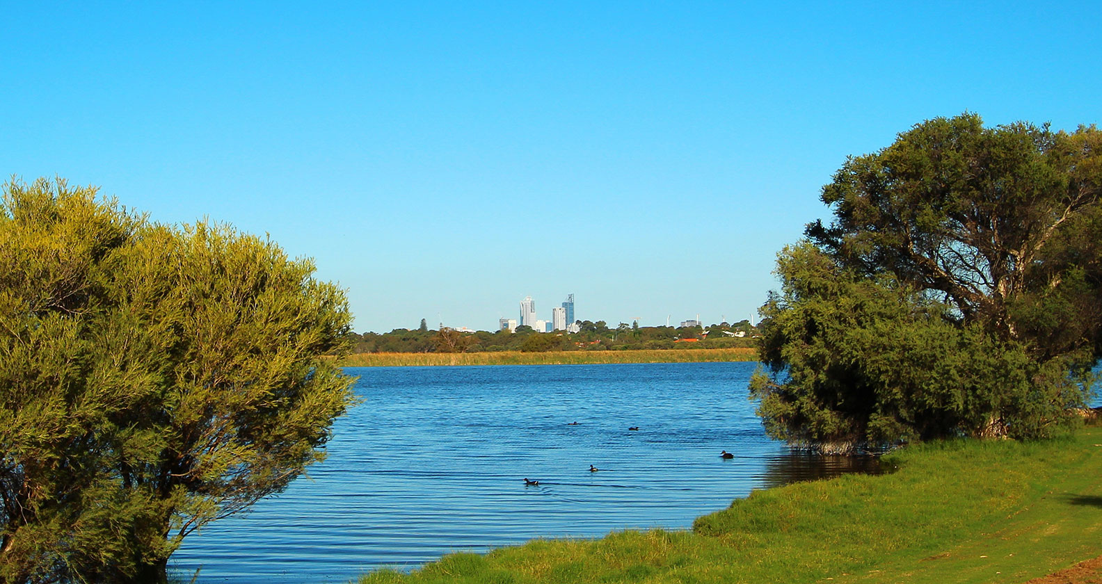 Herdsman Lake