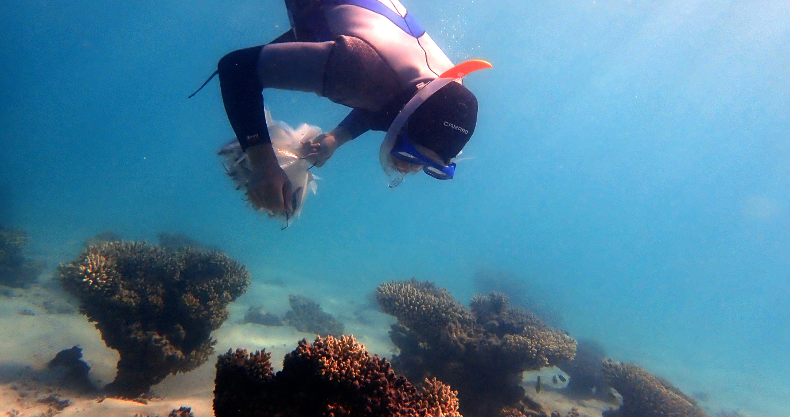 Scuba diver in the ocean