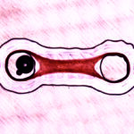 Futile Labor