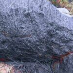 Malaysian discovery sheds new light on early Earth