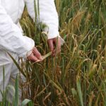 Whole-of-sector collaboration to tackle challenges facing WA agriculture