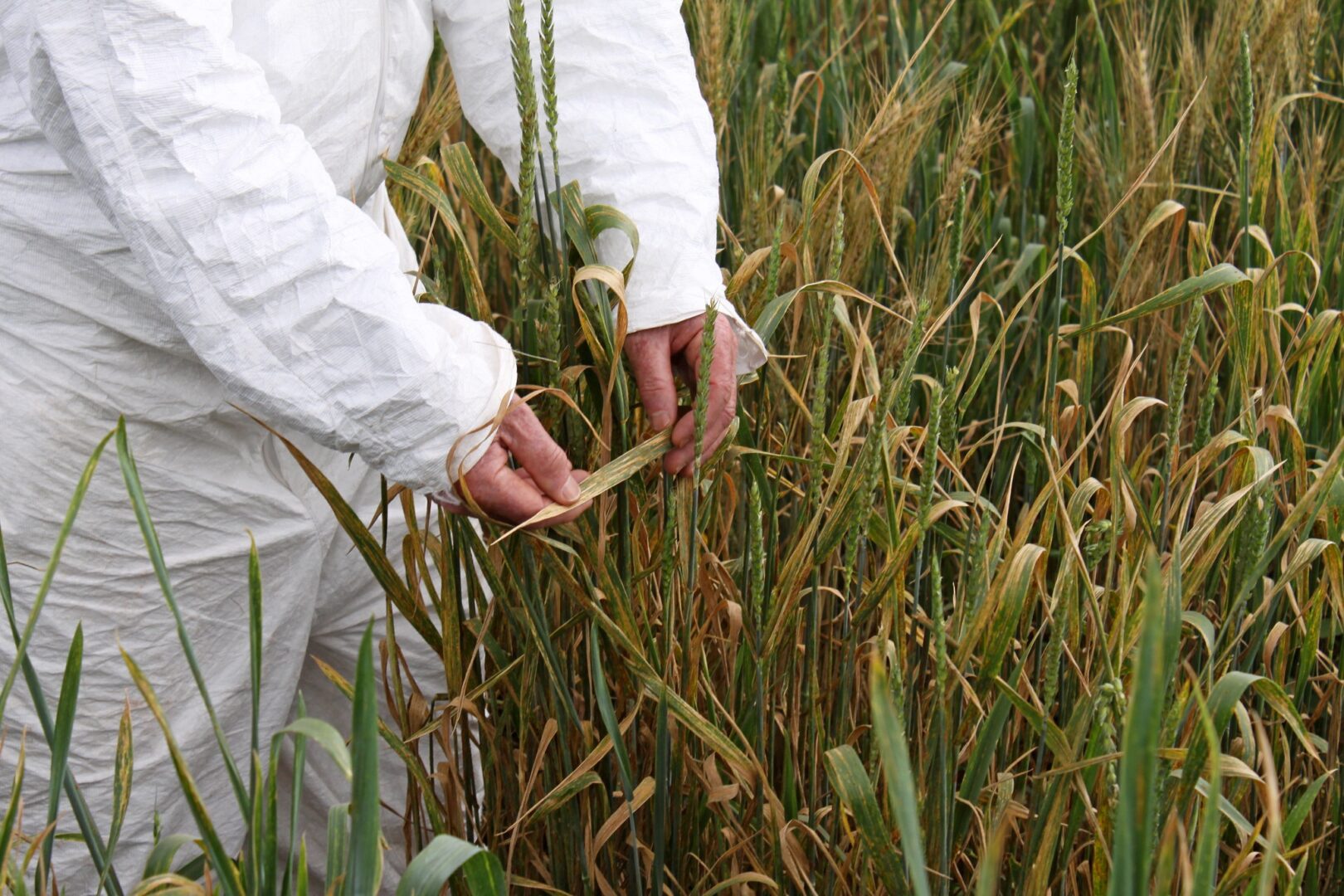 Image for Whole-of-sector collaboration to tackle challenges facing WA agriculture