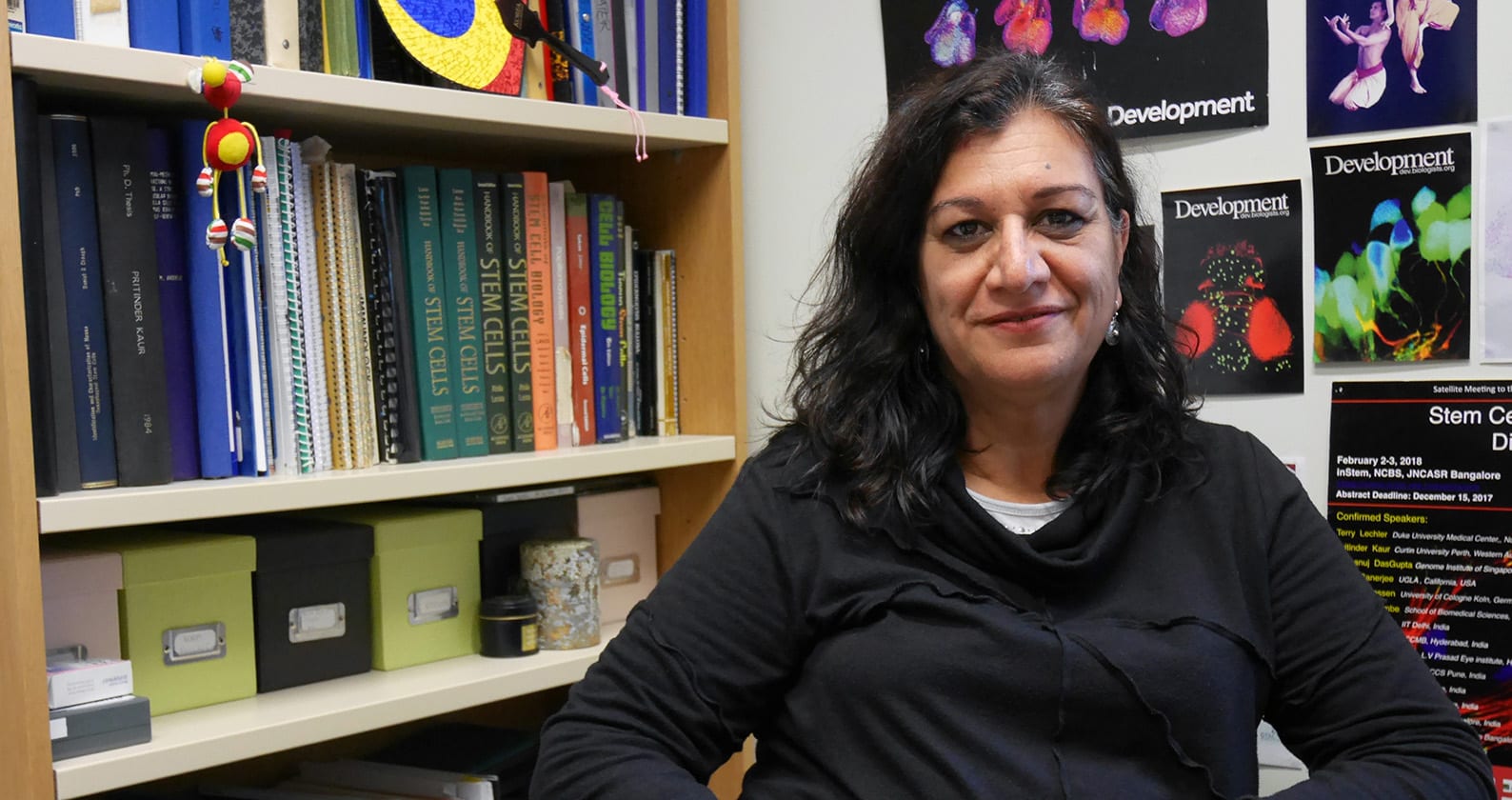 Image for Curtin research into 3D printing of skin awarded medical funding