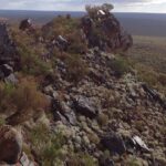 Curtin study finds WA’s natural ‘museums of biodiversity’ at risk