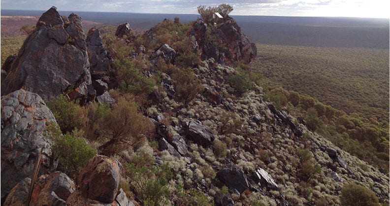 Image for Curtin study finds WA’s natural ‘museums of biodiversity’ at risk