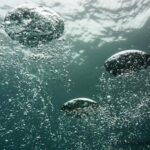 Photo competition winners show science in all its glory
