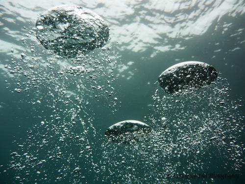 Image for Photo competition winners show science in all its glory
