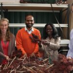 Climate-adaptable grain could be key to human health