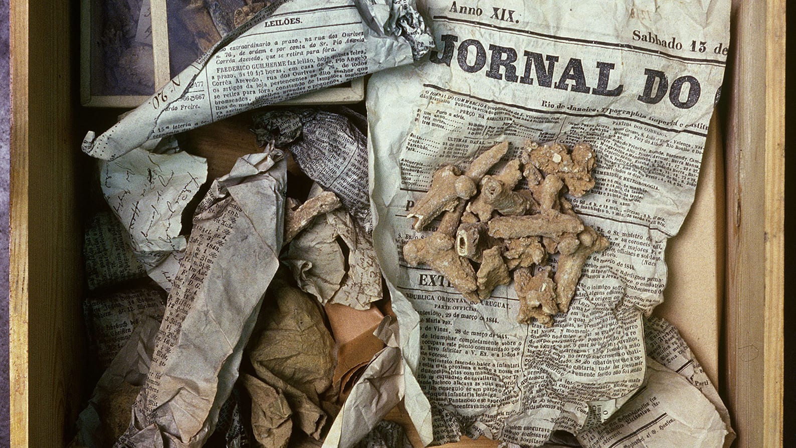 Image for Ancient owl vomit helps Curtin researchers unpack prehistoric bone secrets