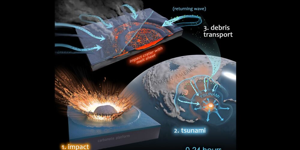 It was microbial mayhem in the Chicxulub crater, Curtin research suggests