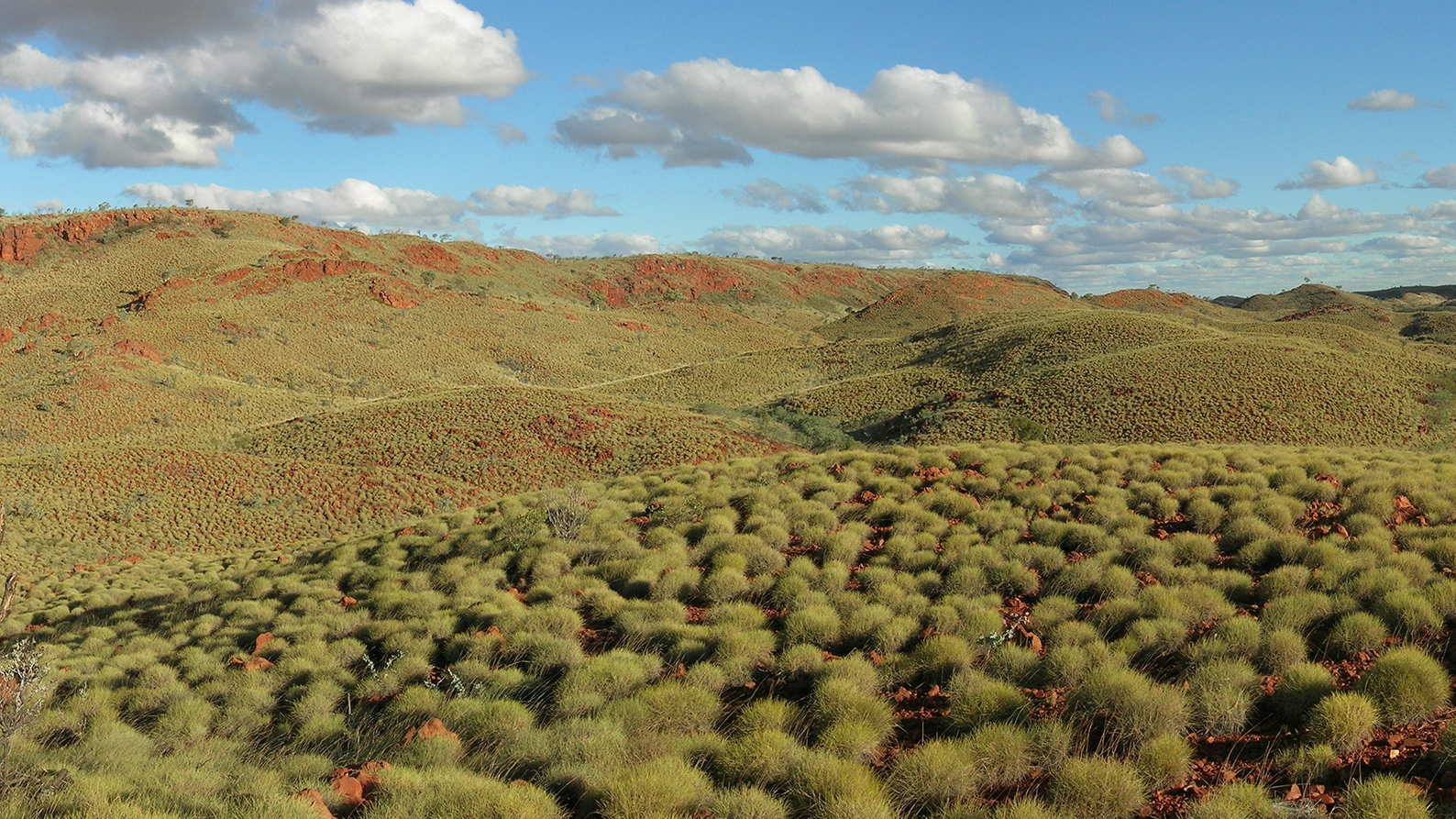 Image for Researchers help expand mineral exploration using machine learning