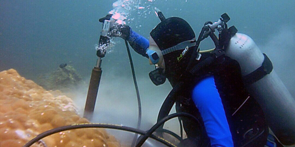 Coral reefs ‘weathering’ the pressure of globalisation