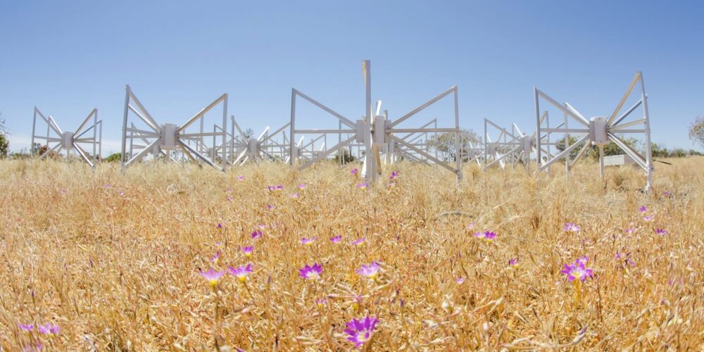 MWA: expanding the horizons of science