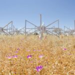 MWA: expanding the horizons of science