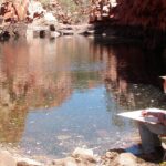 Outback upbringing a ‘major’ inspiration for Curtin arts and education grad Joel Smoker