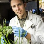 Cancer technology could help cure crop disease problems